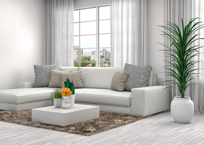 SCUBE SPACES